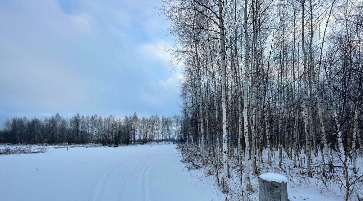 земля р-н Городецкий с. Строчково, ул. Строчковская фото 6