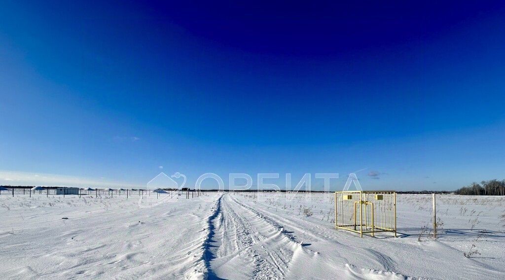 земля р-н Тюменский Новокаменский кп, ул. Васнецова фото 4