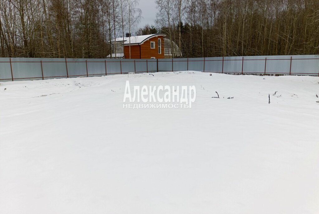 земля городской посёлок Лебяжье, коттеджный посёлок Возрождение, Каштановая улица, 4 фото 4