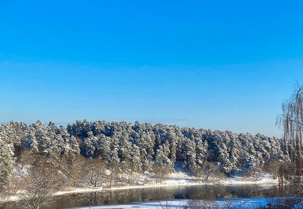 дом г Подольск ул Беляевская 38а 17 км, Варшавское шоссе фото 16