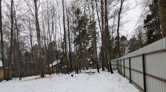 городской округ Истра тер ДНТ Вокалист ГАБТ Нахабино фото