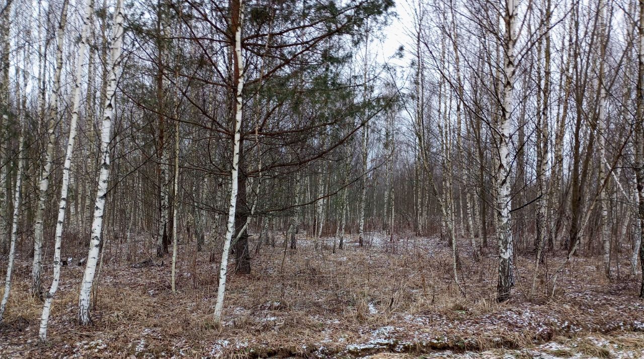 земля городской округ Ступино д Проскурниково фото 2