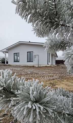 снт Александрия муниципальное образование Новоалександровское, Владимир фото