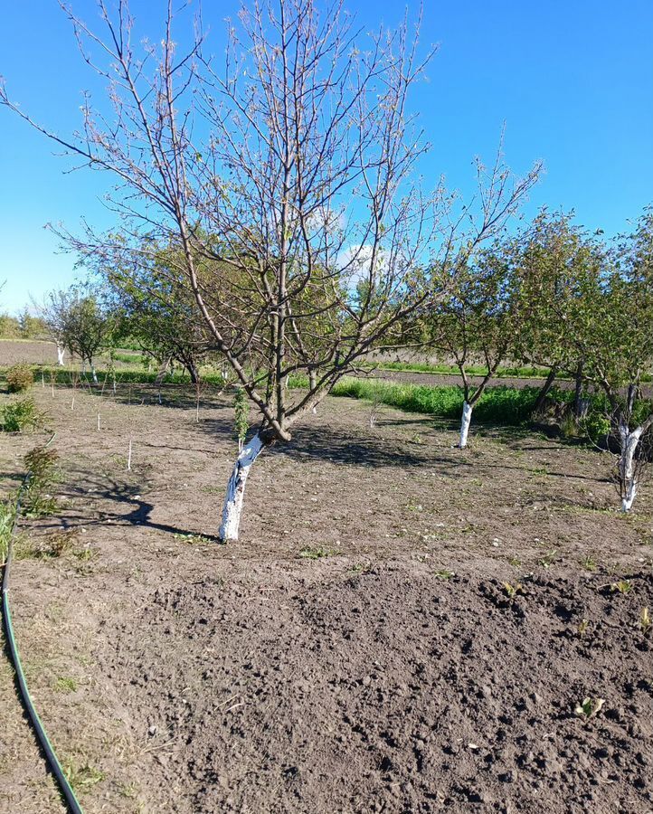 дом р-н Обоянский с Бушмено Каменский сельсовет, Белгородская область, Ивня фото 7