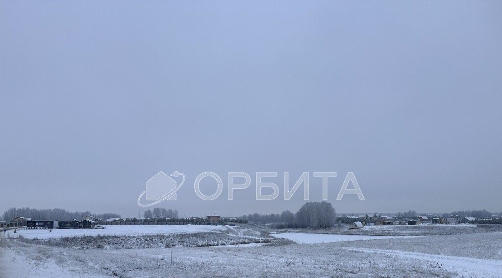 земля р-н Тюменский Новокаменский кп, ул. Васнецова фото 4