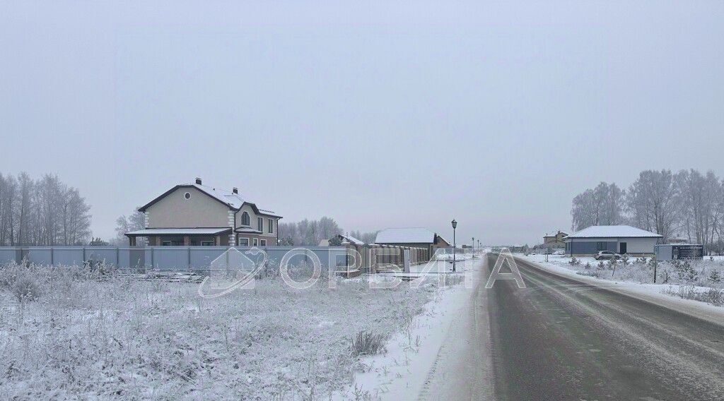 земля р-н Тюменский Новокаменский кп, ул. Васнецова фото 6