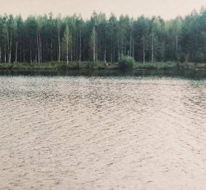 дом р-н Всеволожский массив Васкелово нп 2-я Линия Морозовское городское поселение, Труд-массив Сады СНТ фото 29