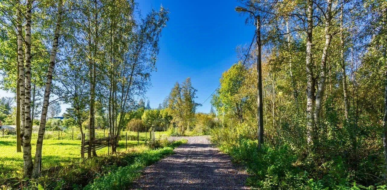 земля г Петергоф Старый Петергоф ул Кооперативная 4 р-н Петродворцовый фото 13