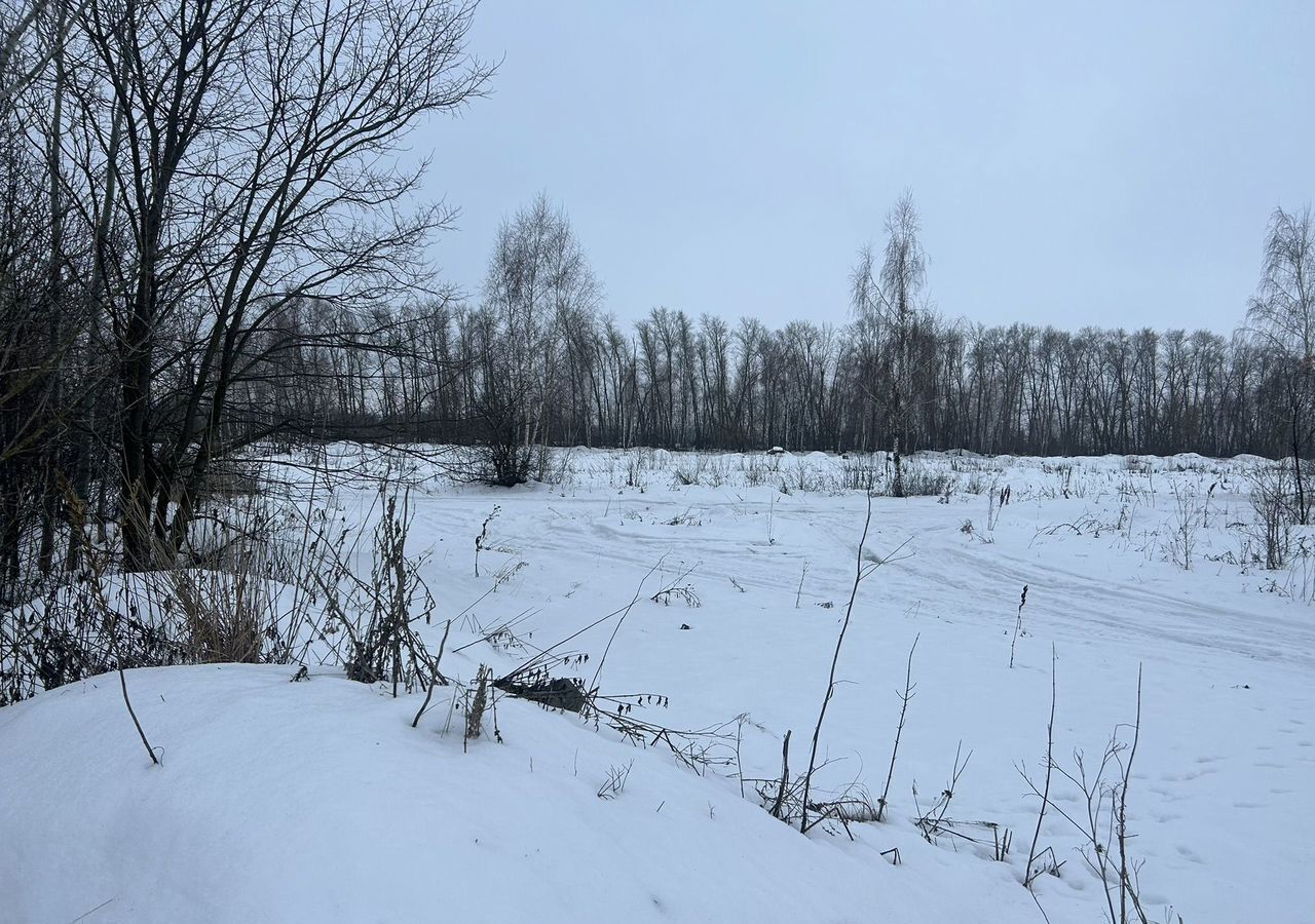 земля г Пенза р-н Первомайский мкр-н Тепличный фото 2