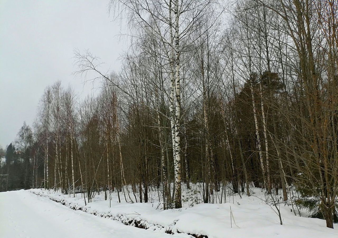 земля городской округ Дмитровский рп Деденево 40 км, коттеджный пос. Домик в Лесу, Северная ул, Дмитровское шоссе фото 3