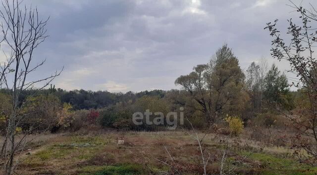 Западный снт Садоводческое товарищество N1 Зеленая Горка фото