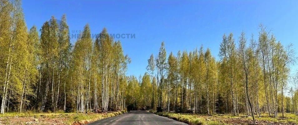 земля р-н Всеволожский массив Грузино снт Куйвози-2 Куйвозовское сельское поселение, 24-я линия, Гарболово фото 4