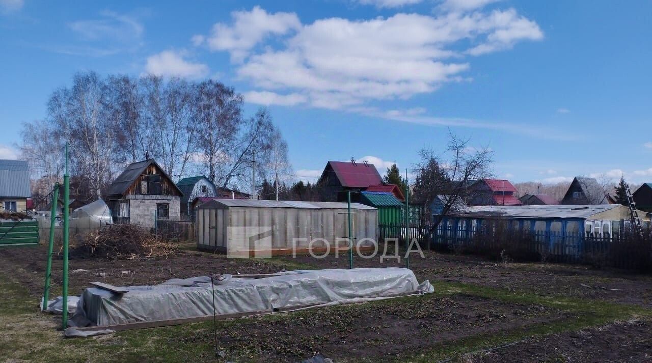 земля р-н Новосибирский снт Ясная Поляна Морской сельсовет, ул. 4-я Восточная фото 2