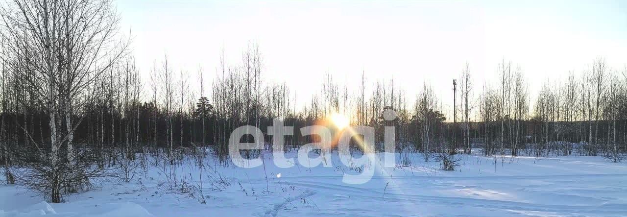 земля р-н Березовский п Березовка городское поселение Берёзовка фото 2