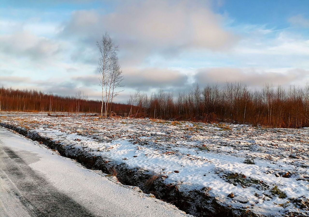 земля городской округ Раменский с Петровское 26 км, Володарского, Рязанское шоссе фото 1