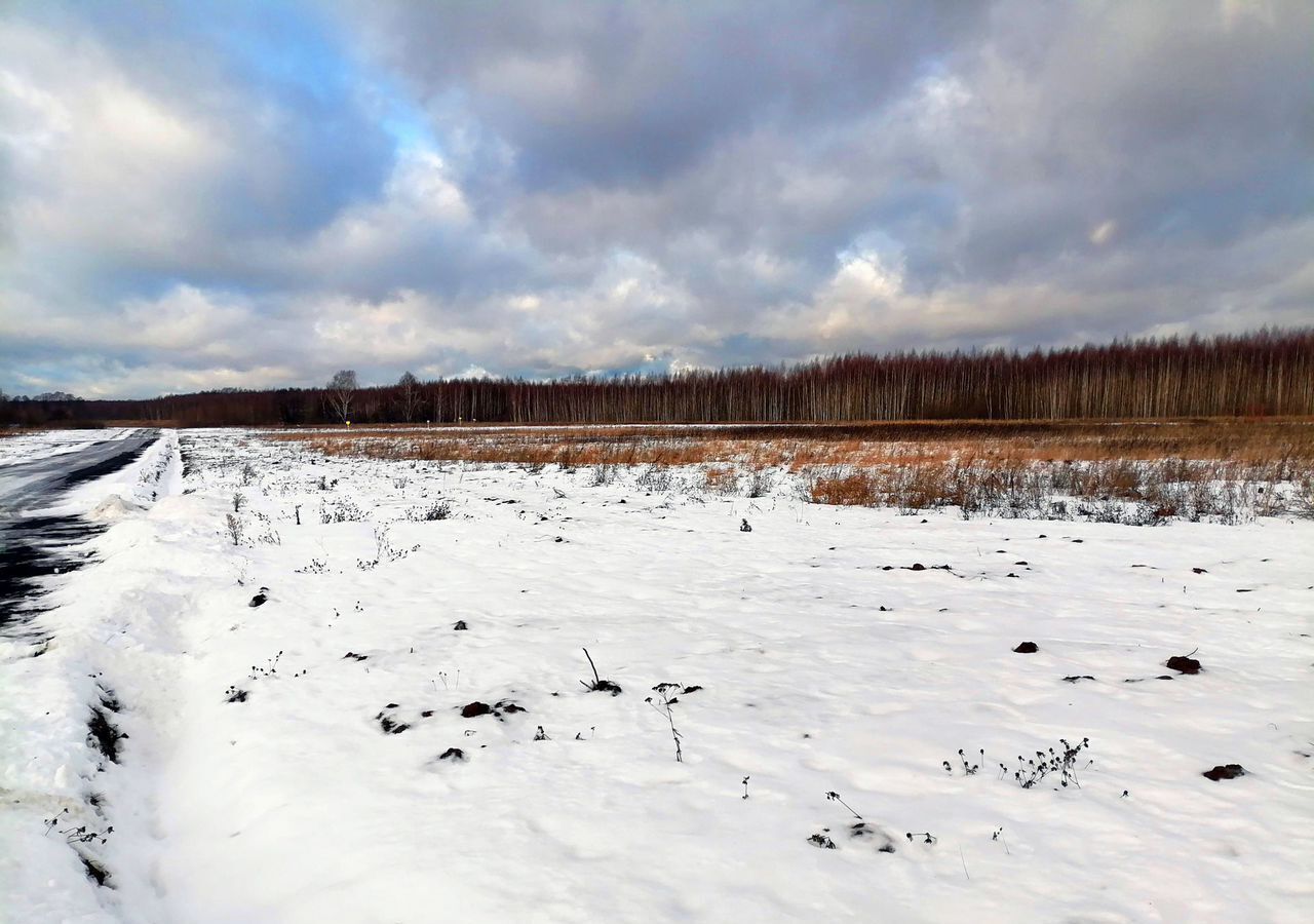 земля городской округ Раменский с Петровское 26 км, Володарского, Рязанское шоссе фото 4