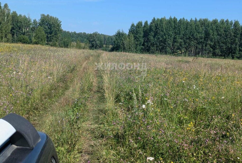 земля р-н Мошковский п Барлакский сельсовет, территория ТСН Времена года, Февральская улица фото 2