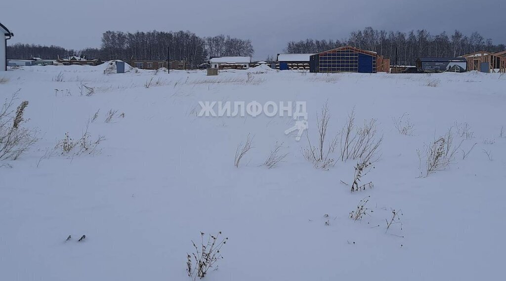 земля р-н Новосибирский с Марусино ул Филонова посёлок Соловьи, Площадь Гарина-Михайловского фото 2