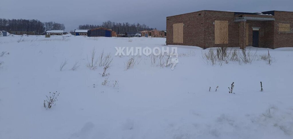 земля р-н Новосибирский с Марусино ул Филонова посёлок Соловьи, Площадь Гарина-Михайловского фото 6