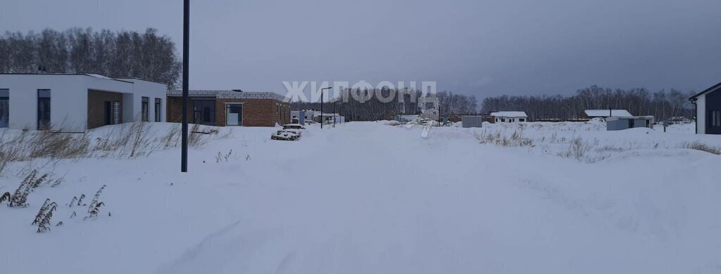 земля р-н Новосибирский с Марусино ул Филонова посёлок Соловьи, Площадь Гарина-Михайловского фото 12