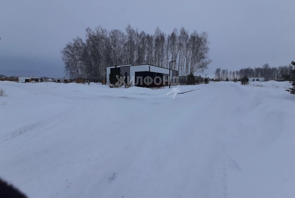 земля р-н Новосибирский с Марусино ул Филонова посёлок Соловьи, Площадь Гарина-Михайловского фото 14