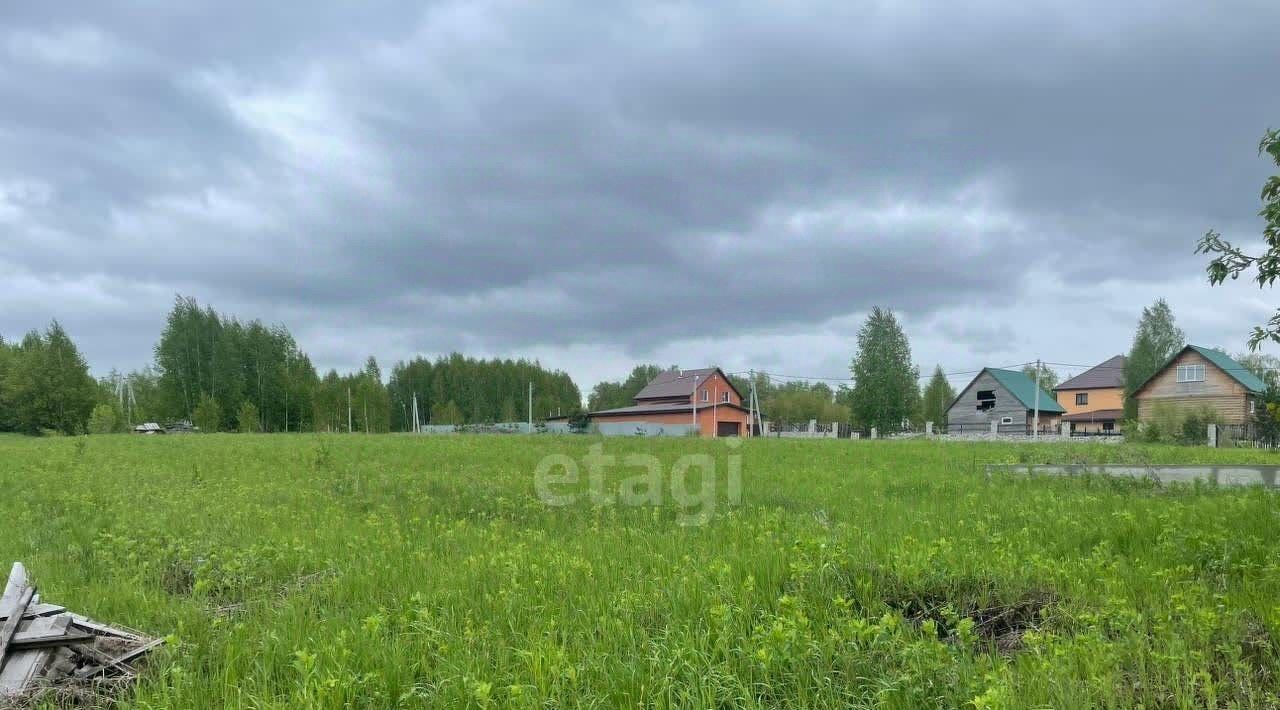 земля р-н Искитимский снт Синегорье Морозовский сельсовет, ДНТ, ул. Болдырева фото 1