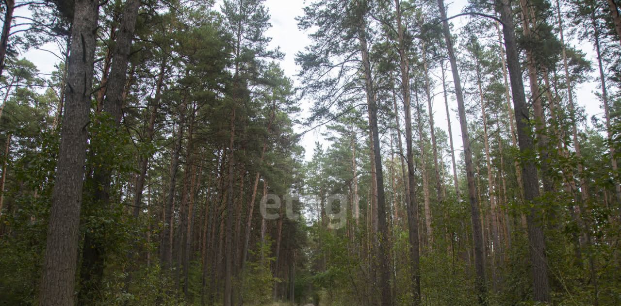 земля р-н Новосибирский п Приобский сельсовет, Кудряшовский фото 3