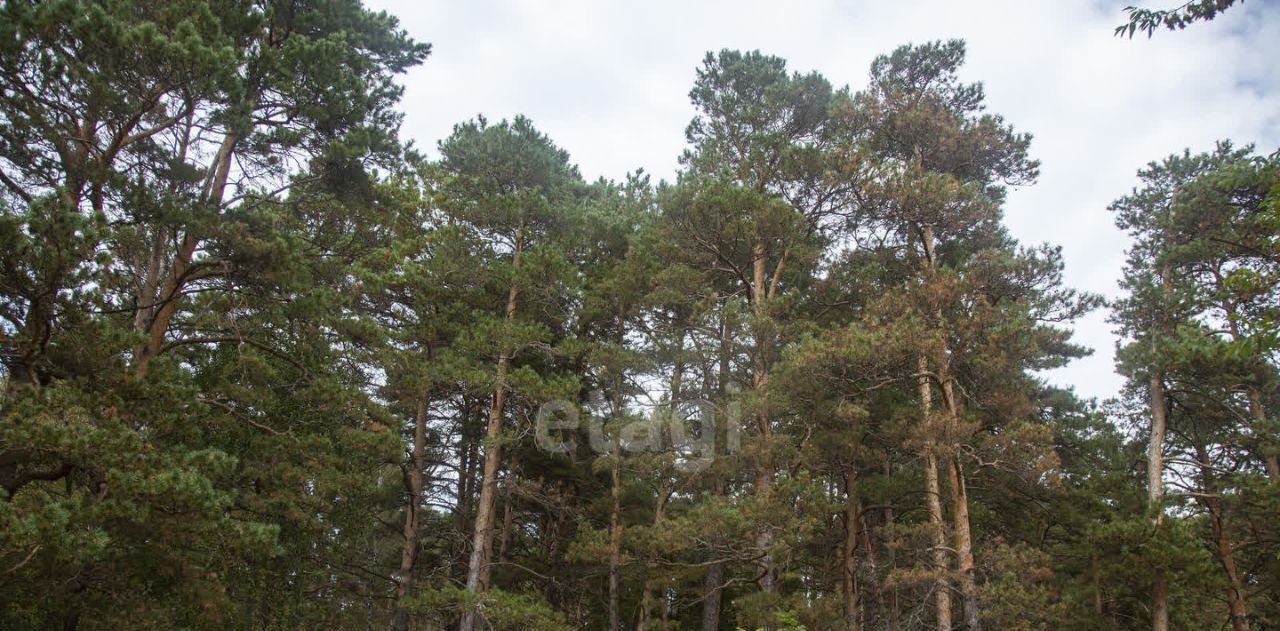 земля р-н Новосибирский п Приобский сельсовет, Кудряшовский фото 5