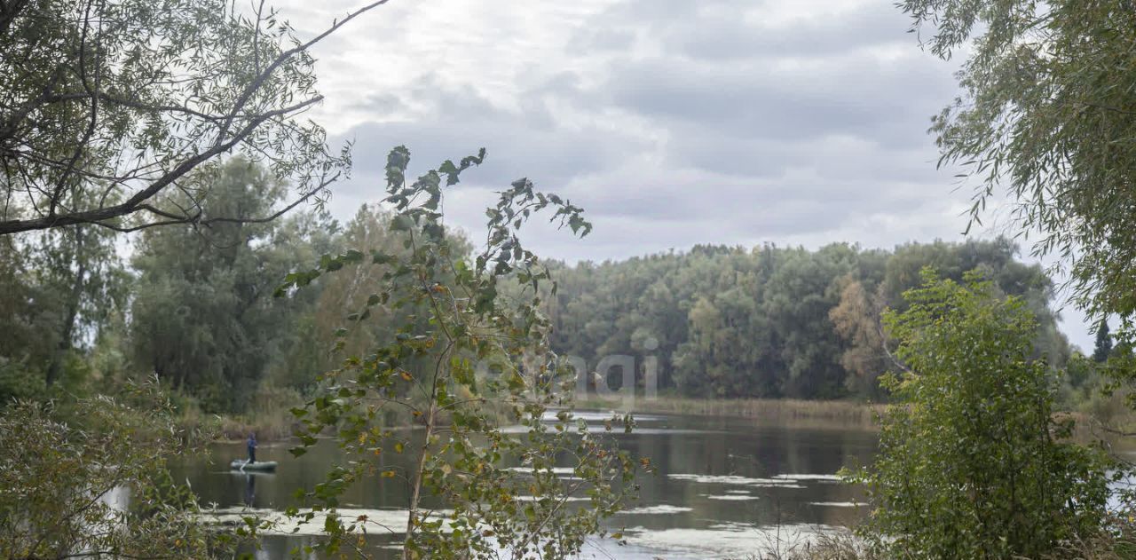 земля р-н Новосибирский п Приобский сельсовет, Кудряшовский фото 5