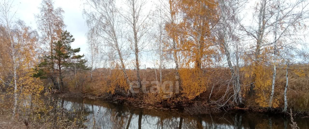 земля р-н Новосибирский Новолуговской сельсовет, Инские Плесы СНТ фото 8