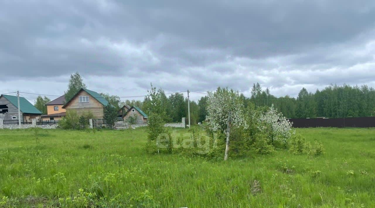 земля р-н Искитимский снт Синегорье Морозовский сельсовет, ДНТ, ул. Болдырева фото 10