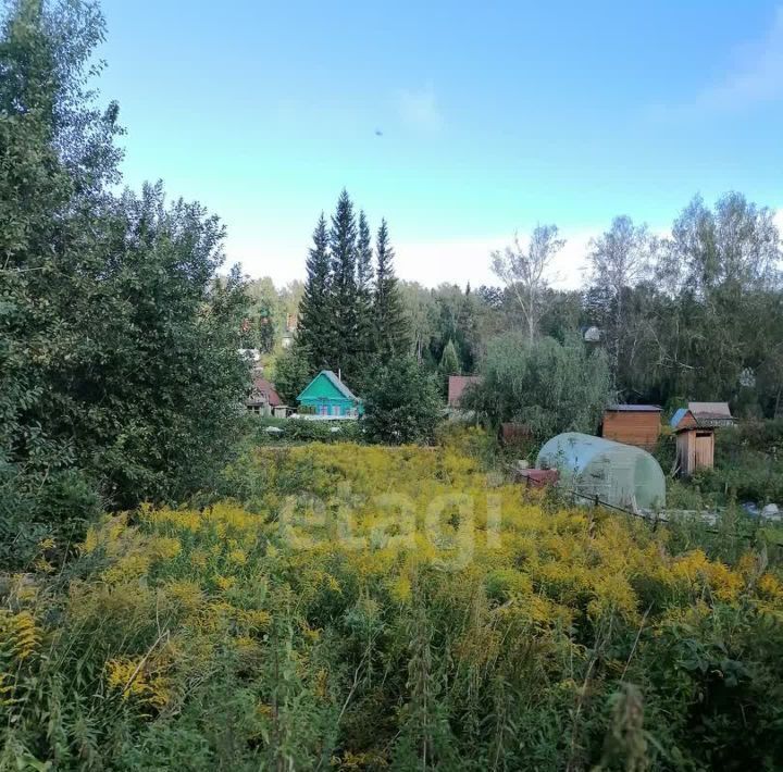 земля р-н Новосибирский снт Нива Барышевский сельсовет, Н-12 фото 5