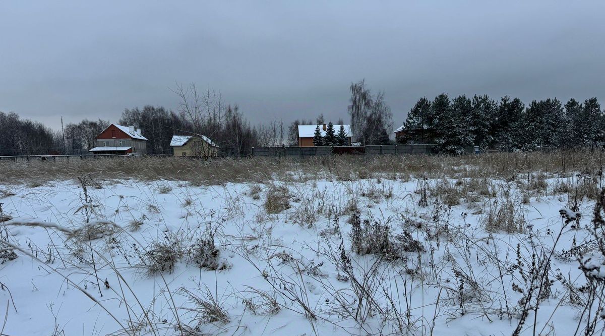 земля городской округ Богородский д Новое Подвязново ул Центральная фото 1