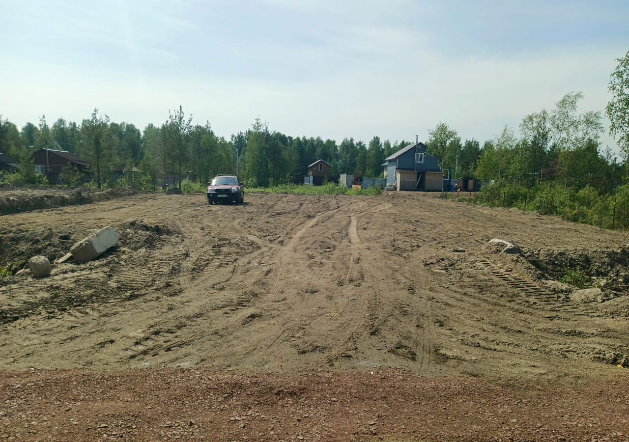 земля р-н Всеволожский массив Дунай снт Ладога-1 Мурманское шоссе, 22 км, Морозовское городское поселение, 55, Морозова фото 3