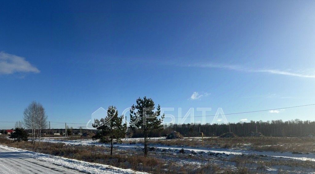 земля р-н Нижнетавдинский д Малые Велижаны ул Центральная фото 4