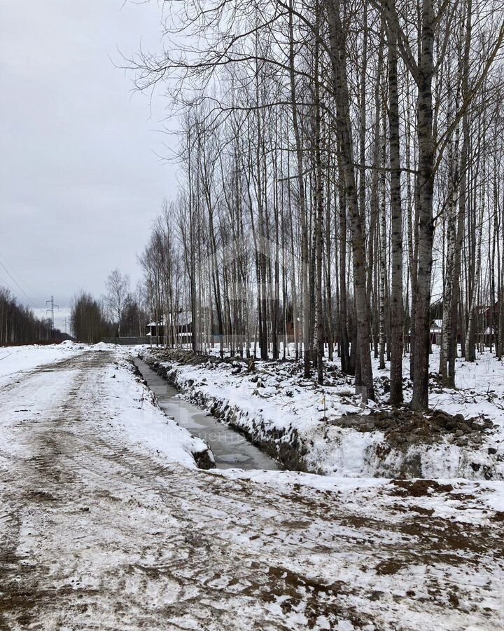 земля г Павловск снт Павловское-1 р-н Пушкинский Московское шоссе, 19 км, 394 фото 2