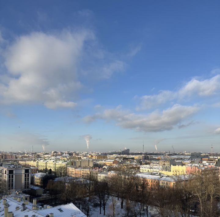 квартира г Санкт-Петербург метро Чернышевская Пески ул Парадная 3к/2 ЖК «Парадный квартал» округ Смольнинское фото 2