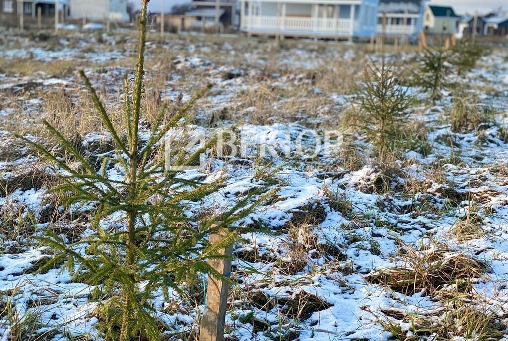 земля р-н Костромской д Стрельниково Шунгенское сельское поселение фото 2