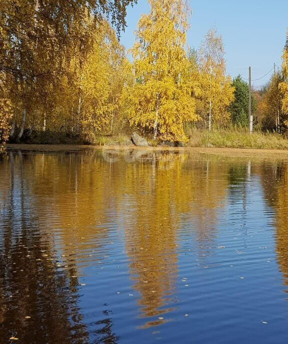 дом р-н Сысертский п Каменка фото 11