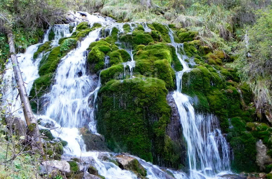 земля р-н Чемальский п Верх-Анос фото 1