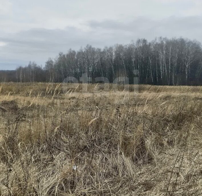 земля р-н Ленинский д Интюшово ул Малиновое Кольцо городской округ Тула фото 3