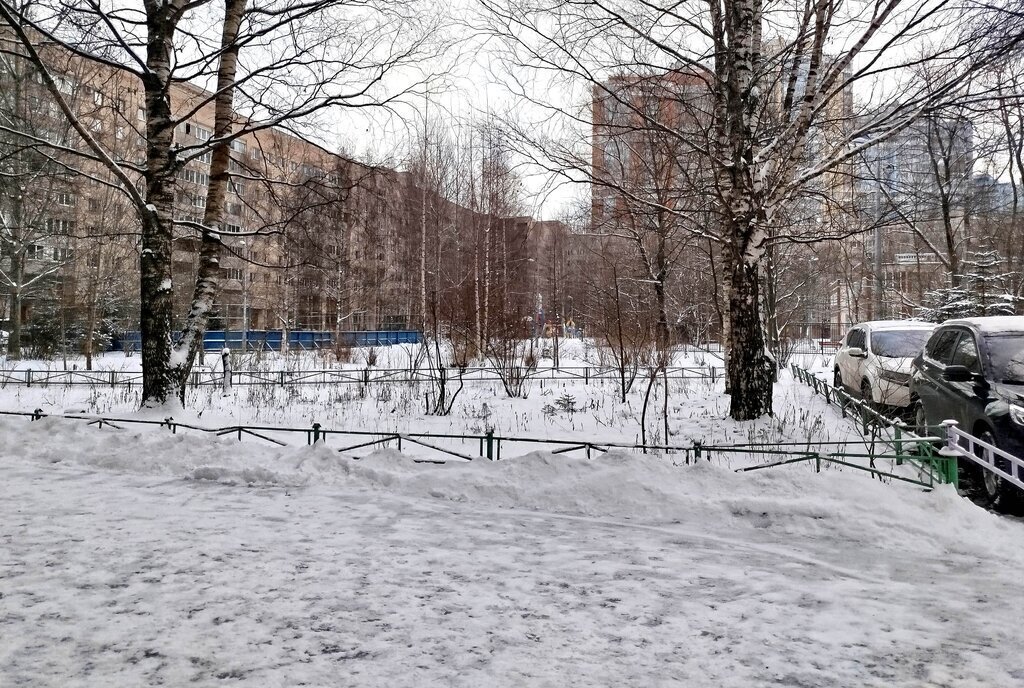 квартира г Санкт-Петербург метро Проспект Просвещения пр-кт Просвещения 39к/1 фото 27