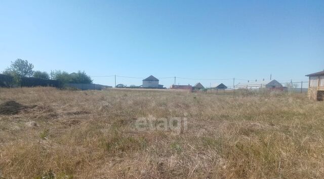 земля р-н Ейский с Александровка ул Совхозная Александровское с/пос фото