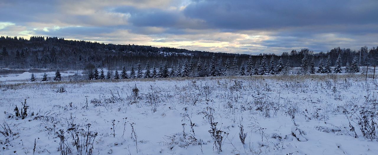 земля городской округ Дмитровский д Удино 31 км, Икша, Рогачёвское шоссе фото 4