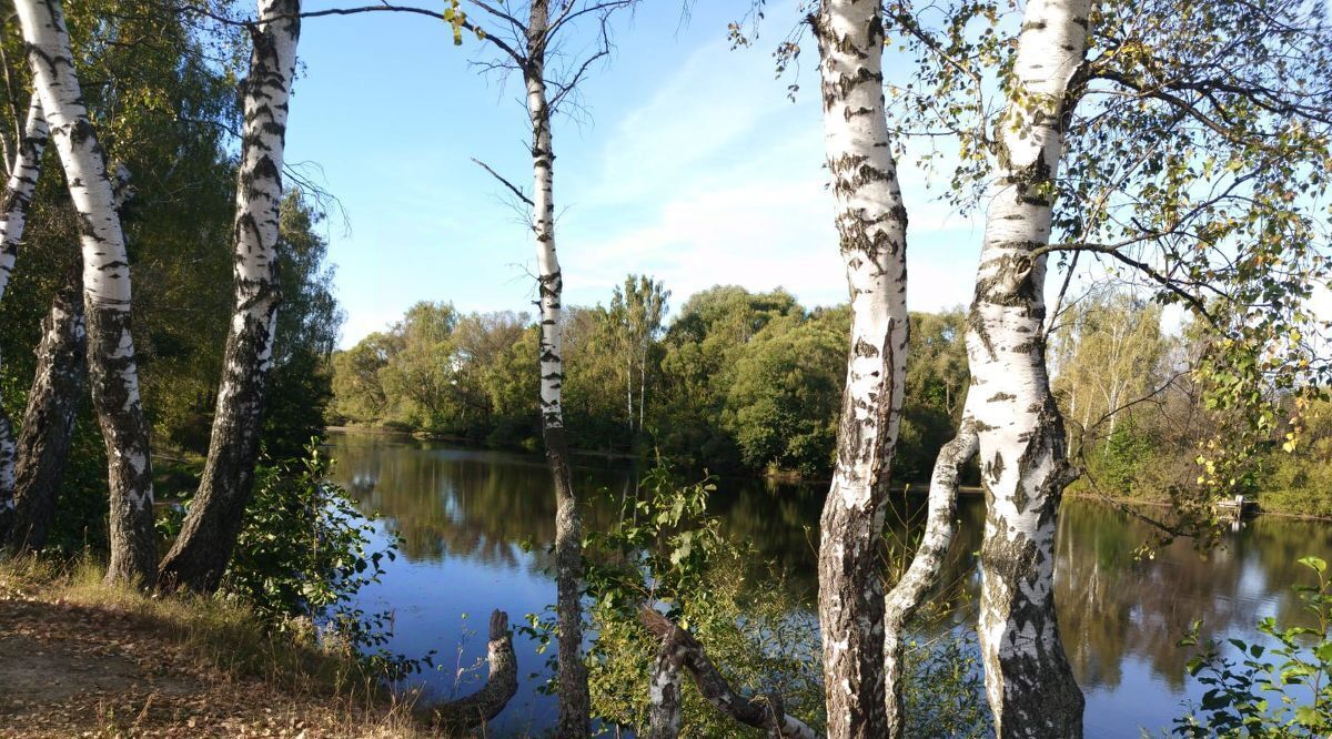 дом городской округ Раменский снт Петровское ул 3-й массив фото 12