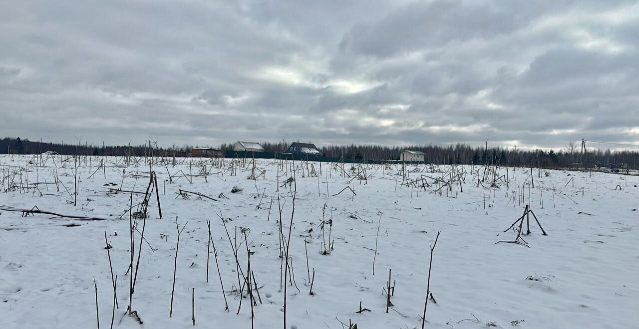 земля городской округ Шаховская д Волочаново 132 км, Новорижское шоссе фото 5