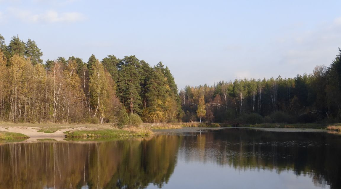 дом городской округ Раменский Кратово дп, ул. Ломоносова, Кратово фото 22