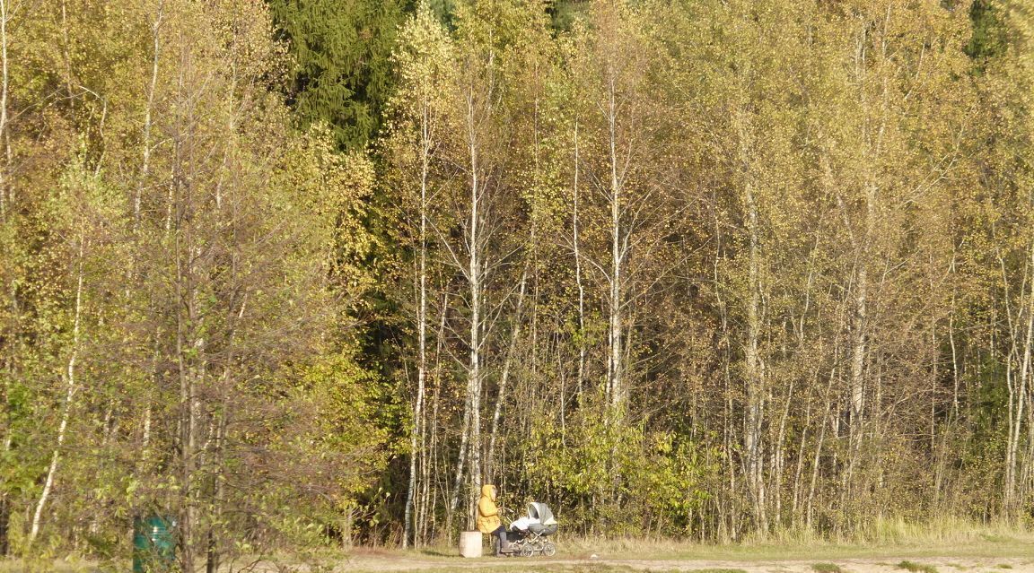 дом городской округ Раменский Кратово дп, ул. Ломоносова, Кратово фото 23