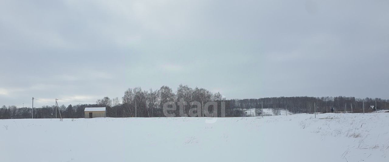 земля р-н Кемеровский п Новостройка фото 5