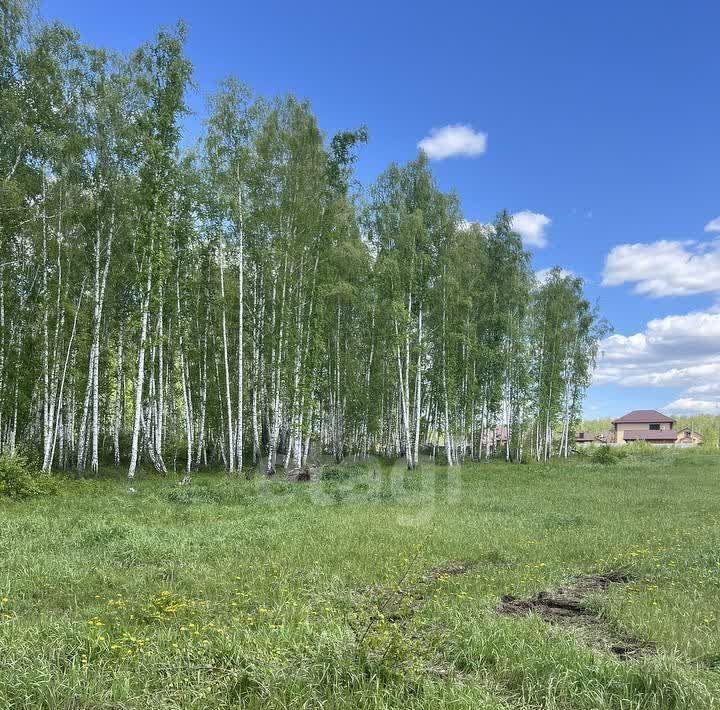 земля р-н Увельский д Ключи с пос, Сосновский район, Краснопольское фото 6